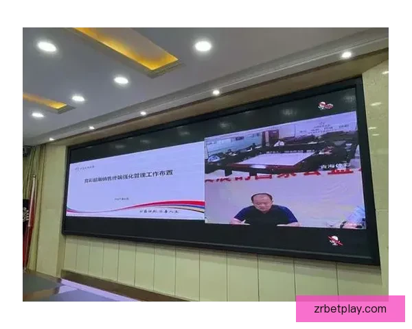 全面解析体育竞猜平台发展趋势与风险管理策略